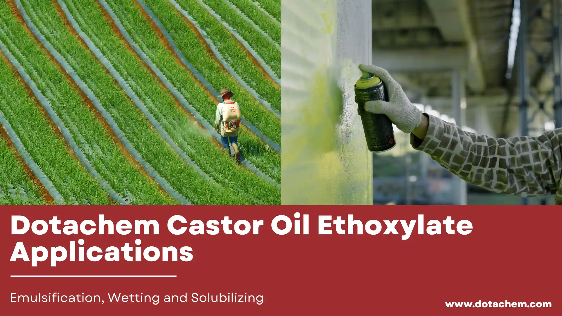 Dotachem Castor Oil ຄໍາຮ້ອງສະຫມັກ Ethoxylate ໃນ emulsification, Wetting ແລະ solubilizing