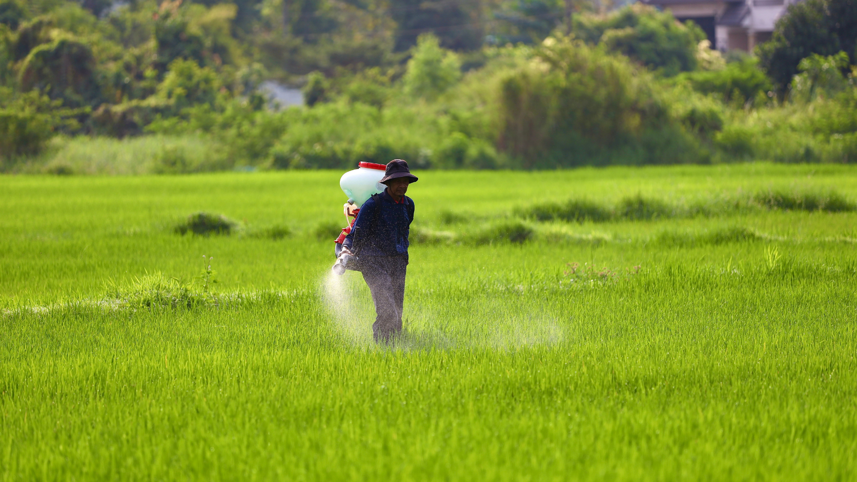 Monoethanolamine ໃຊ້ສໍາລັບສານເຄມີກະສິກໍາແມ່ນຫຍັງ?